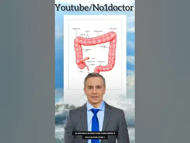 Video thumbnail for Comparison between hepatic and splenic flexure of the colon. #colon #anatomy #medstudent  #usmle
