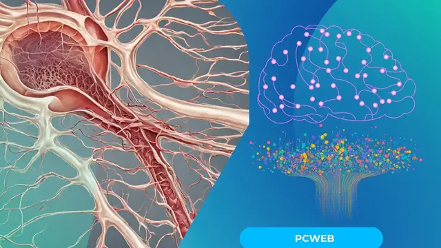 Video thumbnail for Neural Tube Formation in Embryology: Video blog