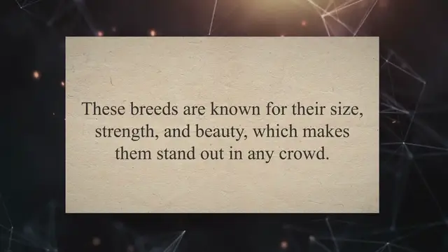 Video thumbnail for The Ultimate Guide to Big, Black, Fluffy Dog Breeds: Characteristics, Care, and Choosing the Perfect Companion