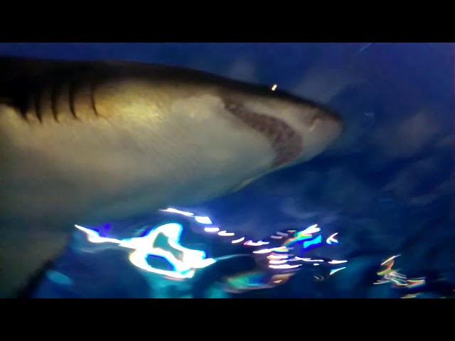 Video thumbnail for And ....(9)