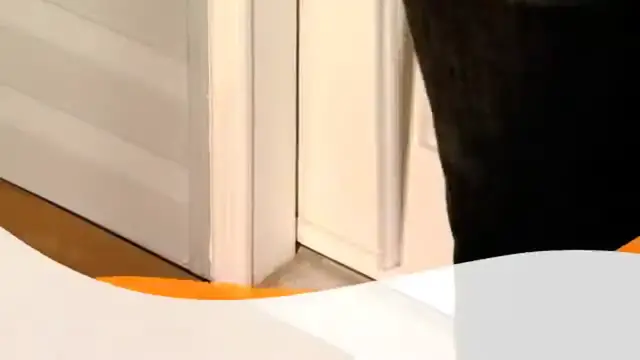 'Video thumbnail for How To Install Door Weatherstripping  '