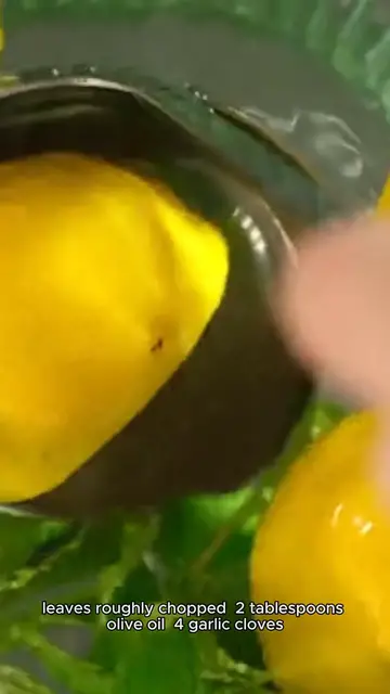 Video thumbnail for swiss chard recipe