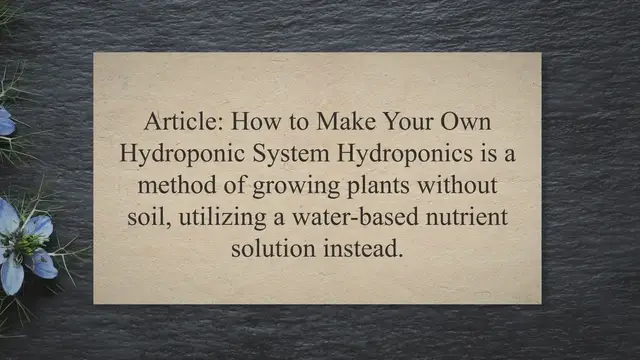 Video thumbnail for How to Make Your Own Hydroponic System