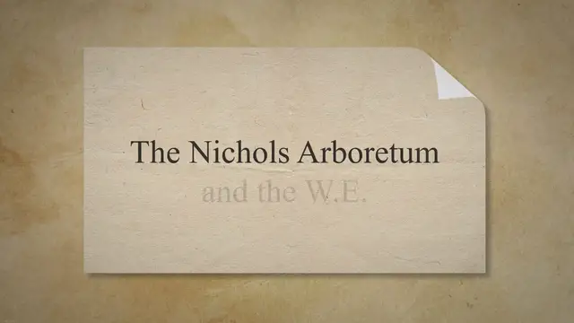 Video thumbnail for Postilion Peony: A Show-Stealing Performer in Your Garden