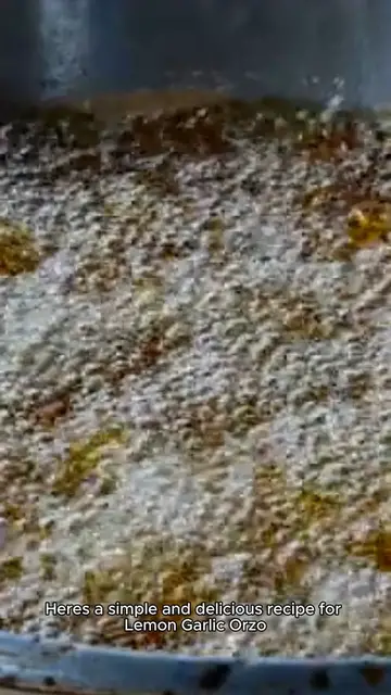 Video thumbnail for Lemon Garlic Orzo | orzo recipe