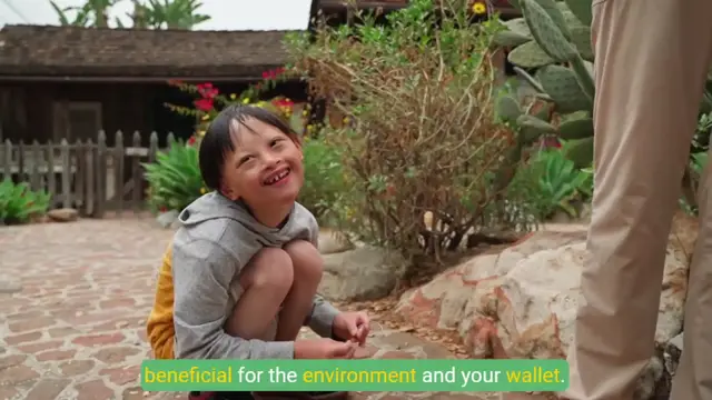 'Video thumbnail for Beginner's Guide to Starting Your Organic Vegetable Garden'