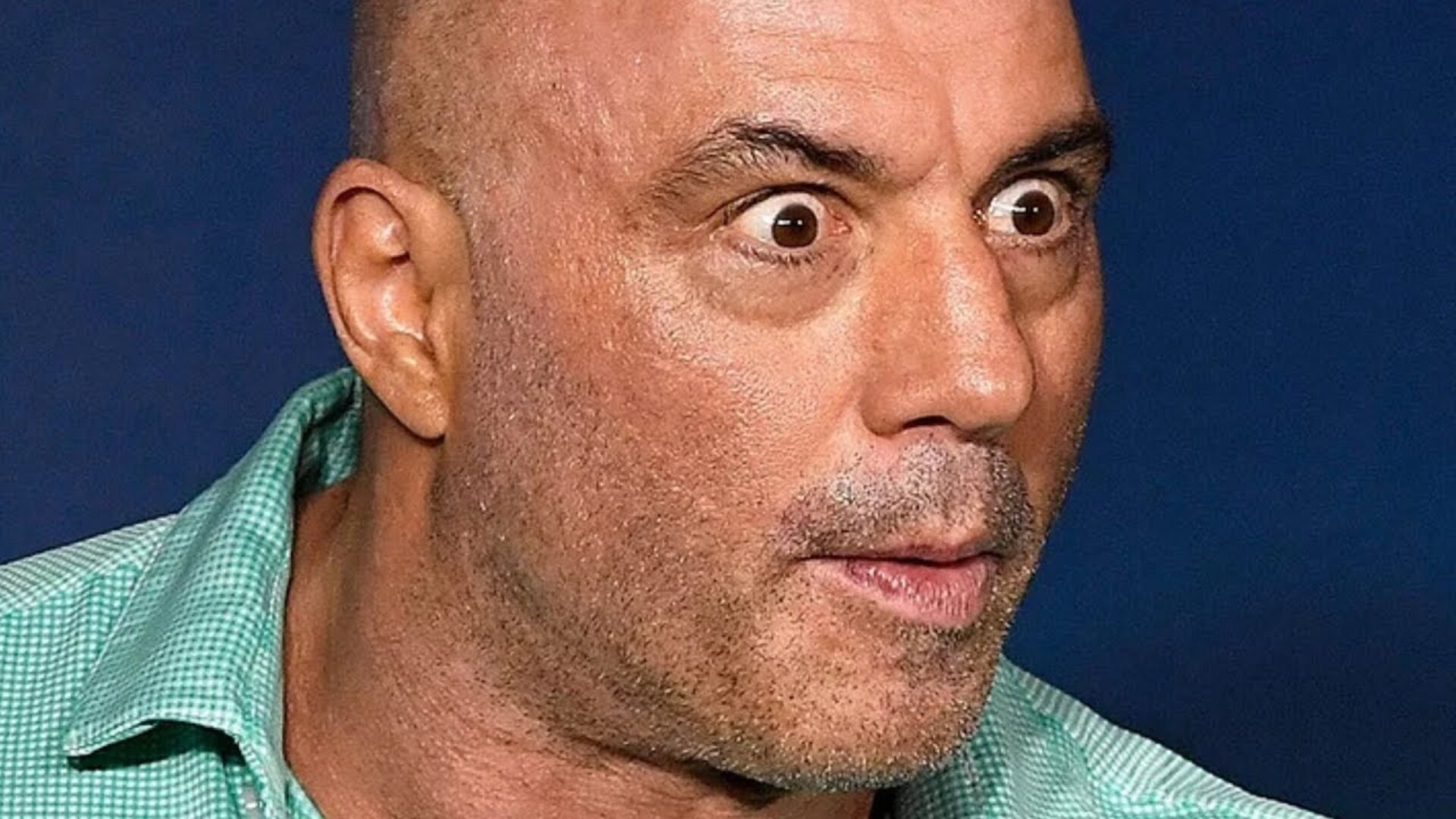 Video thumbnail for Celebs Who Can't Stand Joe Rogan
