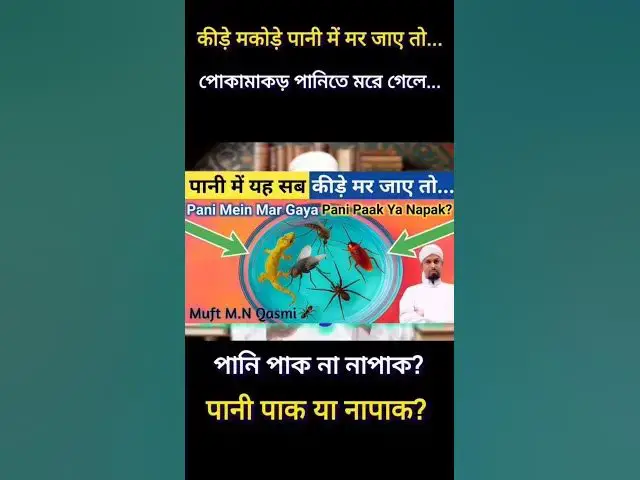 Video thumbnail for Pani Me Makkhi Cockroach Ya Chinti Is Jaise Keede Mar Jaye To Kya Pani Ka Hukm #paknapak #shortsfeed