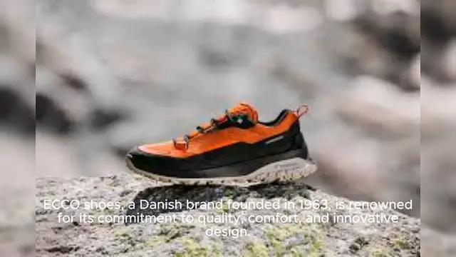 Video thumbnail for ECCO