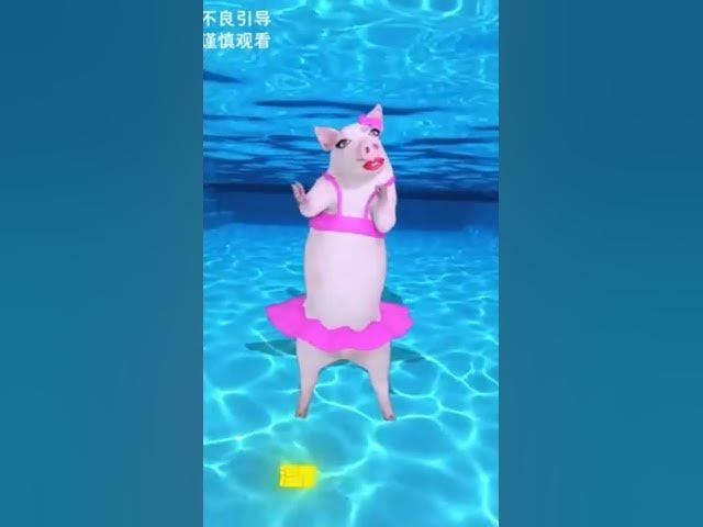 Video thumbnail for #funny video