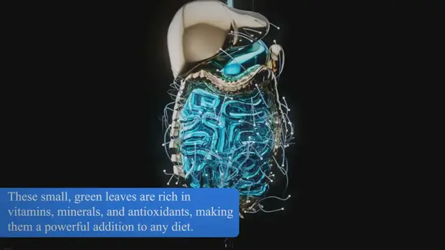 'Video thumbnail for Unlocking the Hidden Benefits of Curry Leaves: A Comprehensive Guide to Improving Digestion, Hair, Skin, Weight Loss, and Immunity'