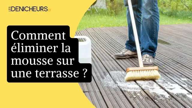 Video thumbnail for 💡 Les solutions pour éliminer la mousse sur une terrasse ✅
