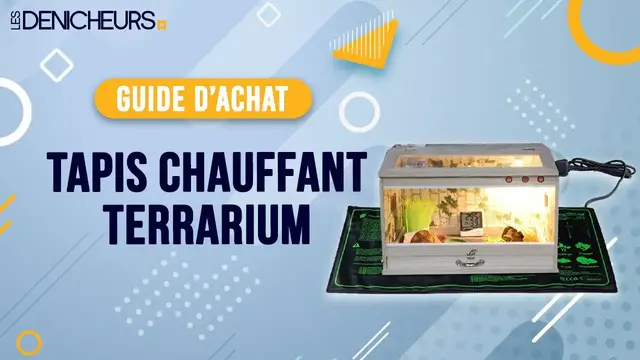 Video thumbnail for 👓 MEILLEUR TAPIS CHAUFFANT TERRARIUM (2022) - Comparatif & Guide d'achat