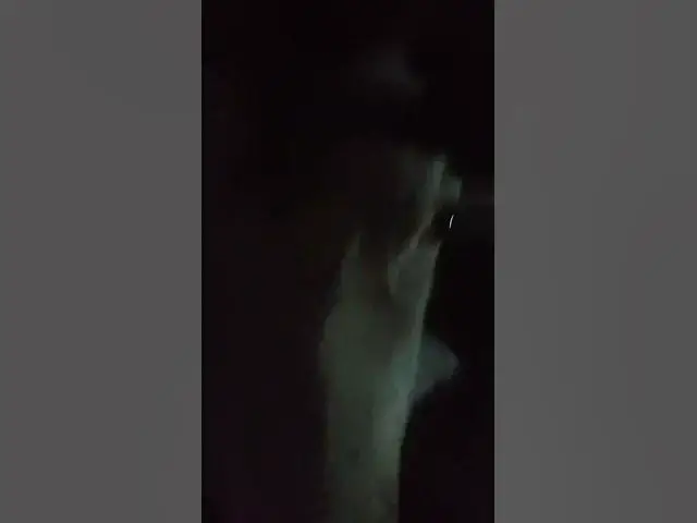 Video thumbnail for 18 December 2024