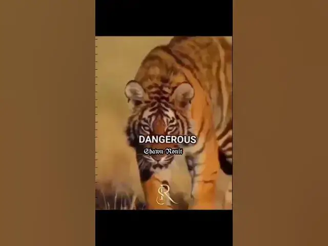 Video thumbnail for Sigma rule #36~Billionaire motivation😎#shorts#motivation#quotes