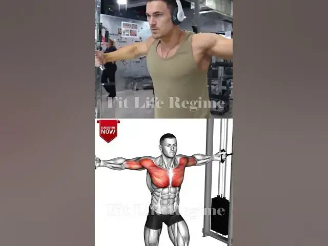 Video thumbnail for 5 BEST Chest Exercises You Need to Know in 2024