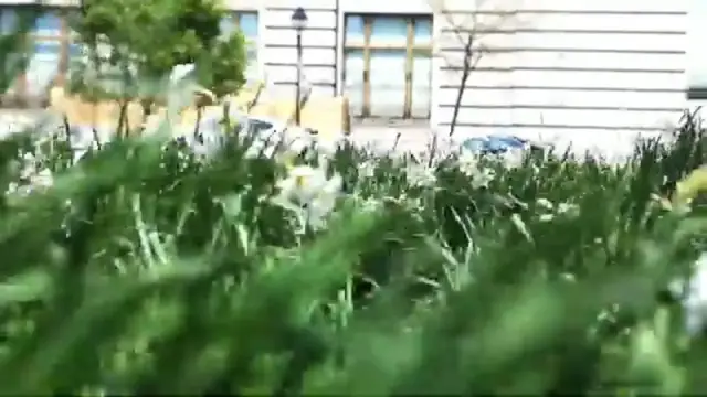 Video thumbnail for Relaxing music with Outdoor, Relax Music, Sleep Music, Calm Music, Stress Relief Music #relax