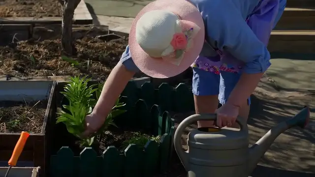 Video thumbnail for DIY Outdoor Planter Box