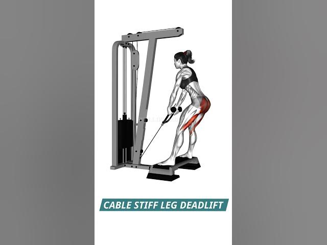 Video thumbnail for Best Hamstring Exercises You Can Do at the Gym