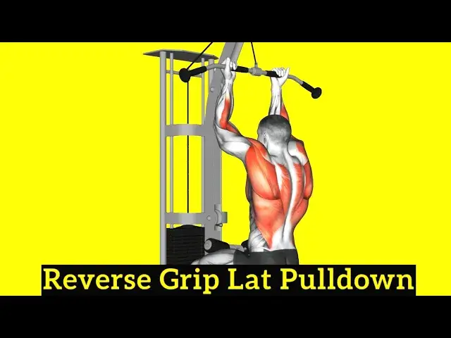 Video thumbnail for How To Do Reverse Grip Lat Pulldown (With Muscles Worked)