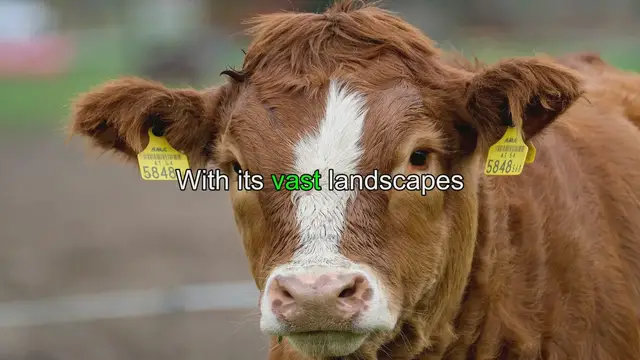 Video thumbnail for Dairy Cow Census: 10 Fascinating Stats in Canada
