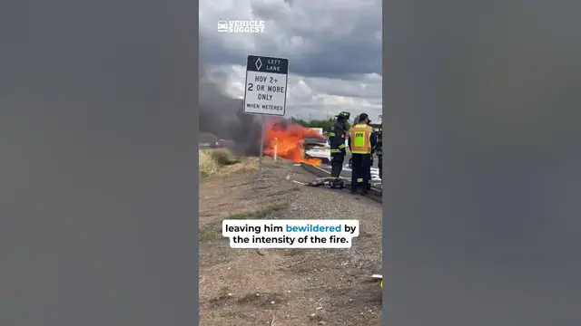 'Video thumbnail for The Truth Behind Recent Tesla Model Y Fire'