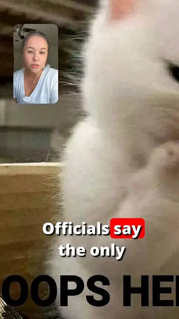 Video thumbnail for Excavator Joy Ride