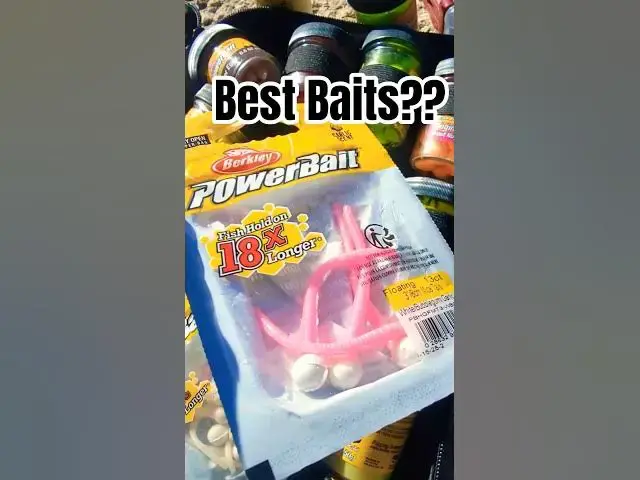 Video thumbnail for Testing out the Best Baits for Trout Fishing from Shore 🎣 #Fishingtips