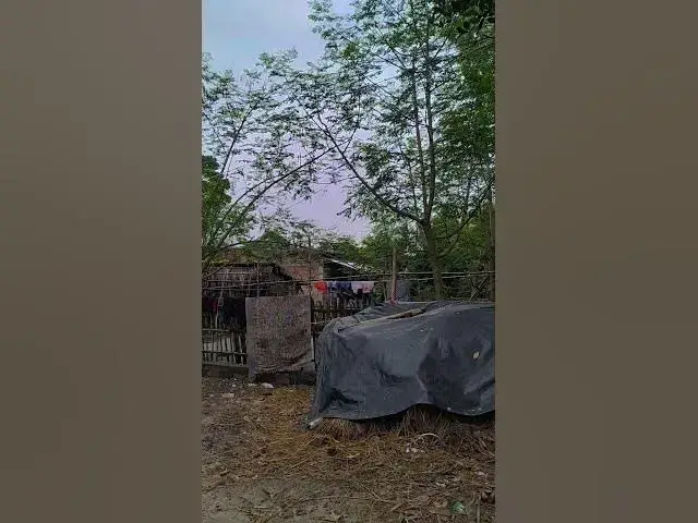 Video thumbnail for 🥰🌹শুভ সকাল 🌞 আমার বাড়ির সামনে ভিডিও #bollywood #automobile #মর্নিং2pmরেজাল্ট #lifeisbutadream