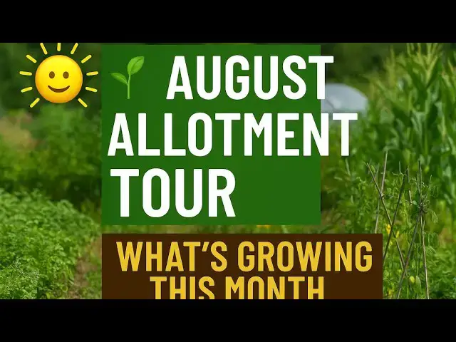 'Video thumbnail for ๐๐ฑ August Allotment Tour | Whatโs Growing This Month'