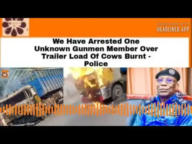 Video thumbnail for We Have Arrested One Unknown Gunmen Member Over Trailer Load Of Cows Burnt - Police ~ OsazuwaAkonedo