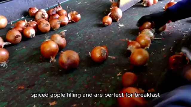 Video thumbnail for apple turnovers recipe