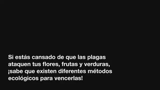 Video thumbnail for 4 formas de preparar un antiáfido natural con bicarbonato de sodio