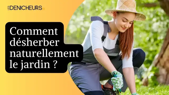 Video thumbnail for 🏡 Désherber naturellement le jardin : voici 10 techniques faciles ! 💡