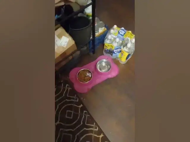 'Video thumbnail for she think so I get to eat it now lmao to funnnnny!'