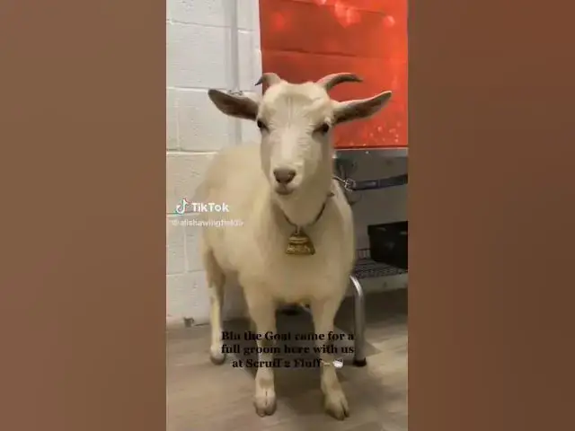 Video thumbnail for 12 January 2025