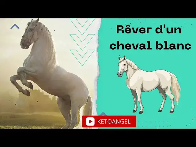 Video thumbnail for Rêver d'un cheval blanc:  Significations, video