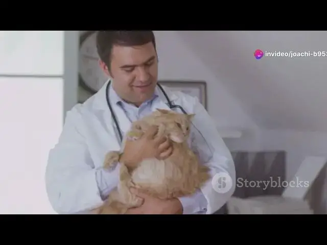 Video thumbnail for Sollten Katzen Mäuse fressen?