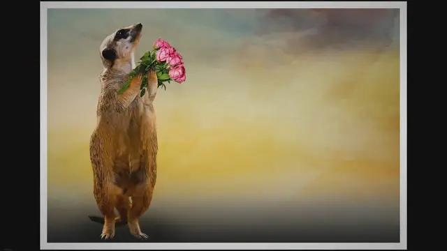 Video thumbnail for Beziehung mit Zweifel und Depression - Wie du aus der Sache herauskommst