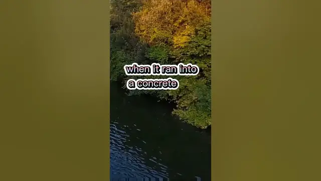 Video thumbnail for Fishing Joke 3 #jokes #fishingjokes #humor