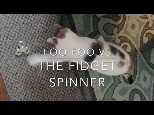 Video thumbnail for Foo Foo vs the Fidget Spinner