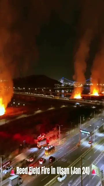 Video thumbnail for 🔥 Fire Breaks Out in Ulsan Reed Field Last Night | Jan 24