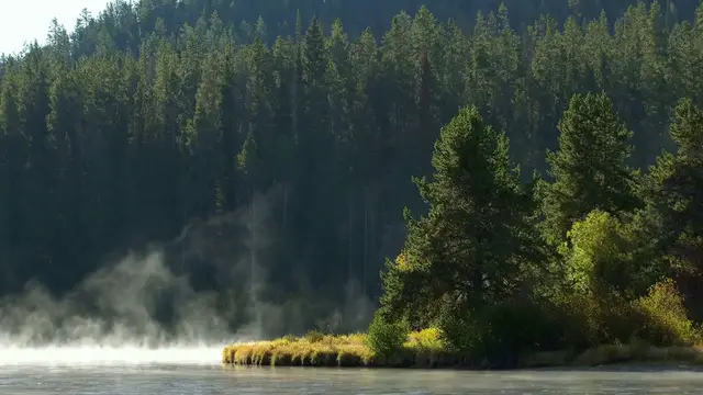 Video thumbnail for Unlocking the Secrets of Oregon Steelhead: Fish Tales & Vacuum Seals for the Ultimate Adventure!