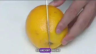 Video thumbnail for "Exploring the Zesty World of Lemons: 10 Fun Facts You Didn't Know!"