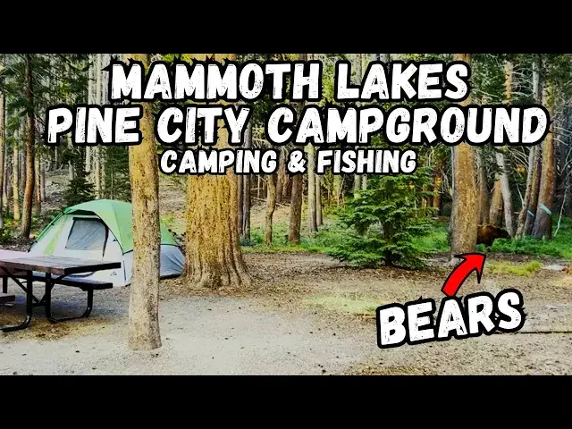 Video thumbnail for Mammoth Lakes Camping & Fishing | Pine City Campground