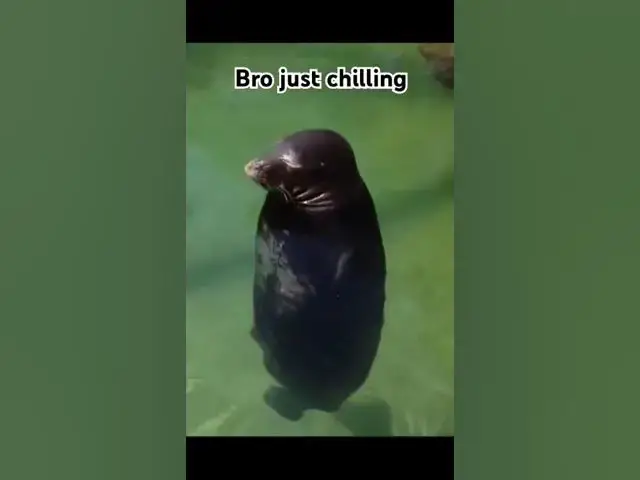 Video thumbnail for March 11, 2025