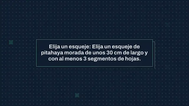 Video thumbnail for Cómo cultivar pitahaya morada a partir de esquejes para principiantes