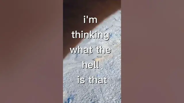 Video thumbnail for Fishing Joke 55 #jokes #fishingjokes #humor #joke