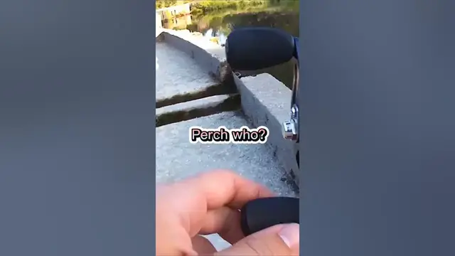 Video thumbnail for Fishing Joke 50 #jokes #fishingjokes #humor #joke