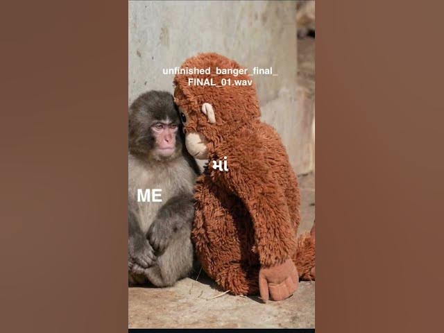 Video thumbnail for 23 February 2026